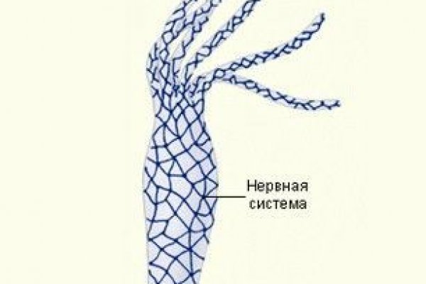 Kraken даркнет что это
