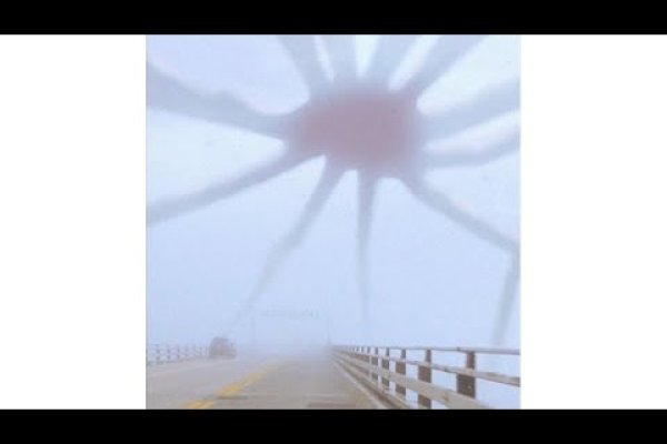 Kraken даркнет рынок