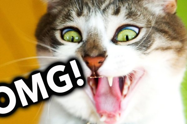 Кракен маркетплейс ссылка тг