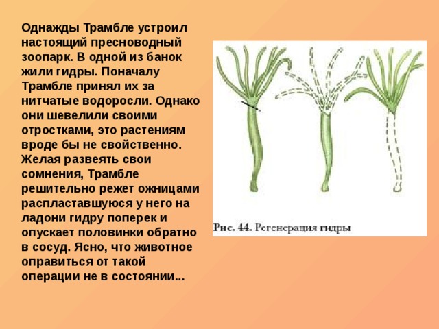 Ссылки на сайты даркнета